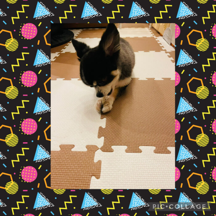 ラッキーくん💕