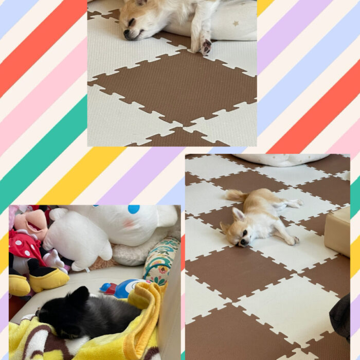 ラキハピ💕