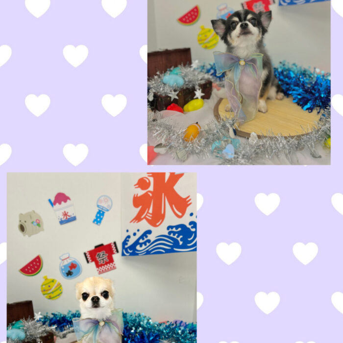 ラキハピ💕