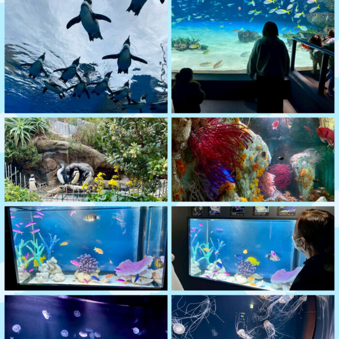サンシャイン水族館😊