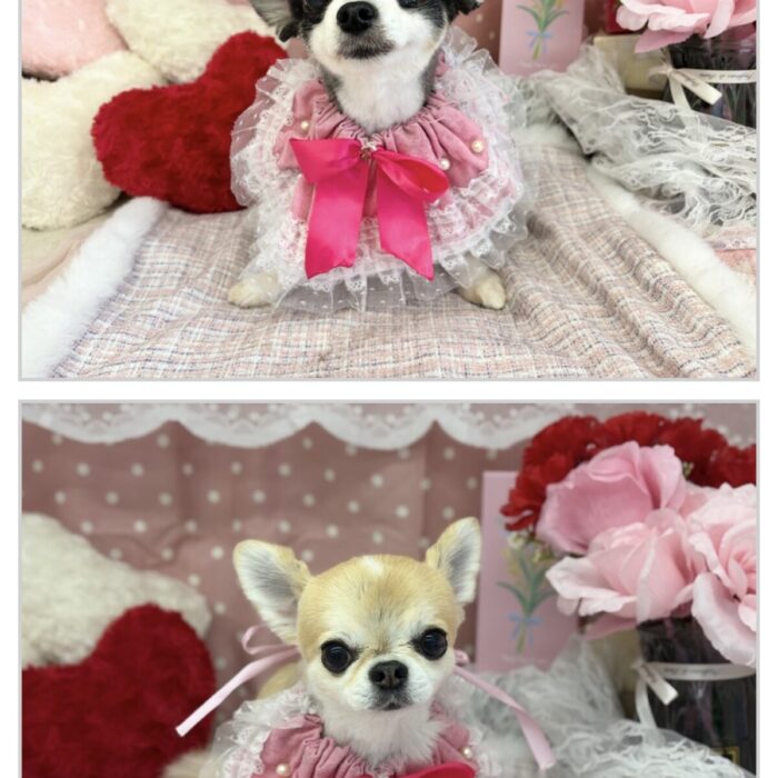 ラキハピ💕